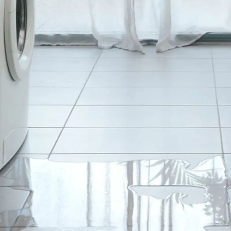 Appliance Leak Cleanup in Hansville, WA
