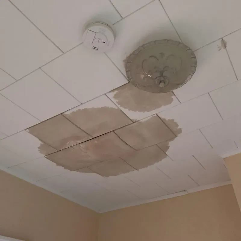 Ceiling Water Damage Repair in Hansville, WA
