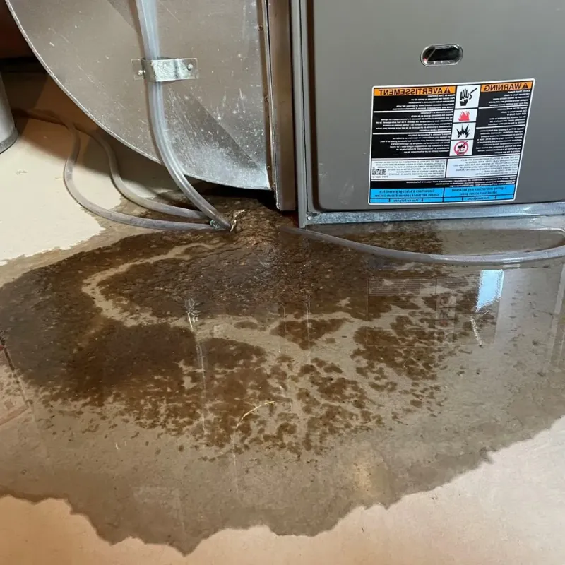 Pipe Burst and Leak Restoration in Hansville, WA