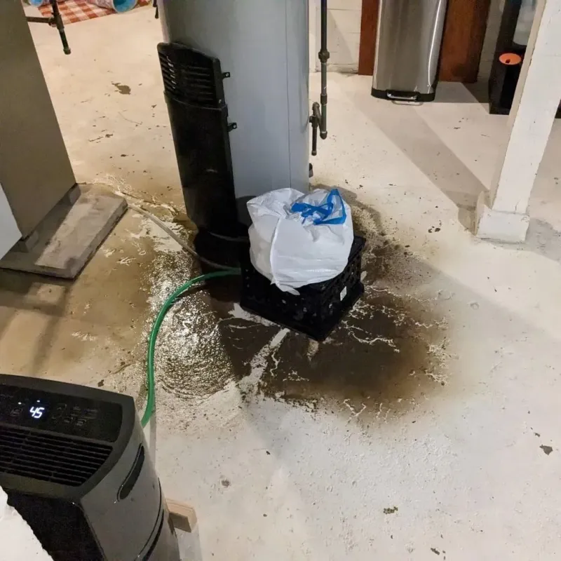 Sewage Backup Cleanup Service in Hansville, WA